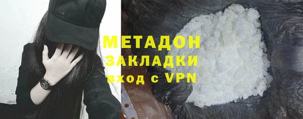 шишки Арсеньев
