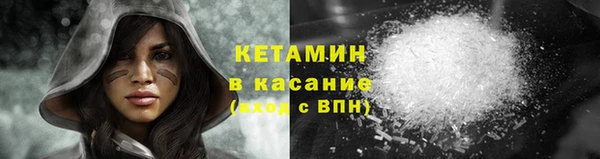 шишки Арсеньев