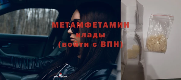 шишки Арсеньев