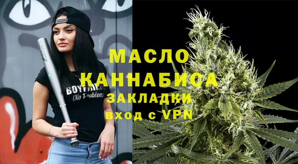 шишки Арсеньев