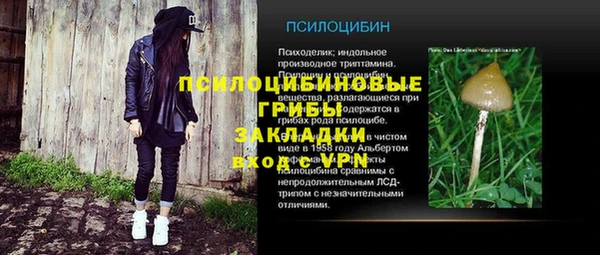шишки Арсеньев