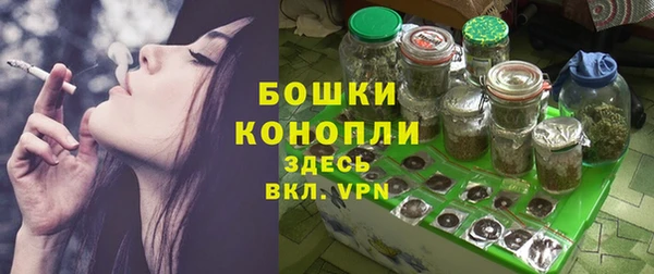 шишки Арсеньев
